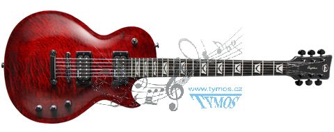 VGS - Elektrick kytara
